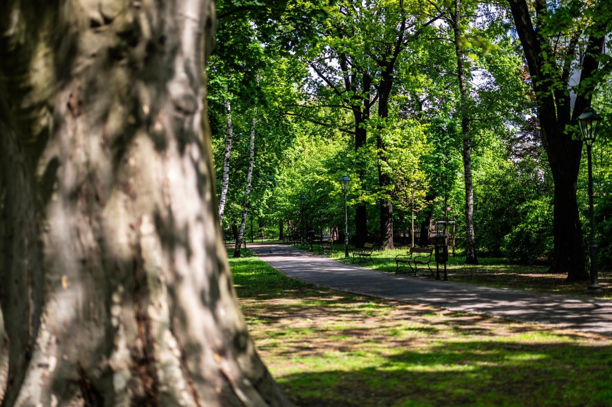 Appartamento Wenecja Parking Gratis Moxy Te&Am Cracow Cracovia Esterno foto